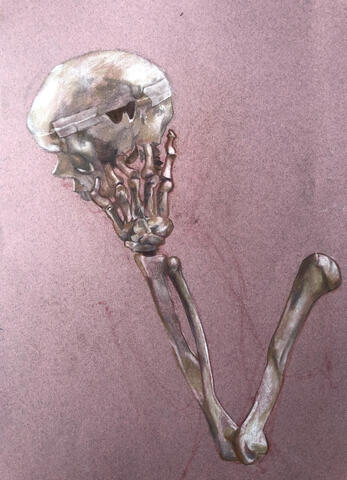 Skeleton Study - 2021